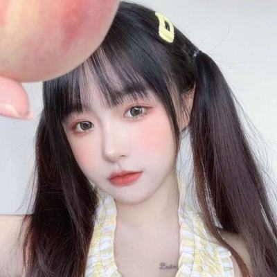 神偷鲍勃5中文版下载